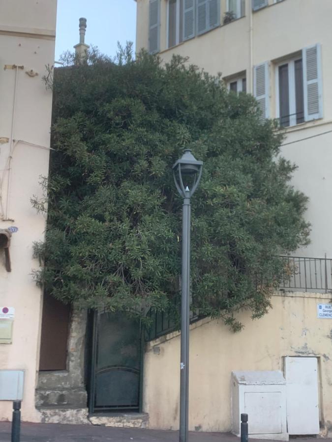 Joli Sur Le Port Cannes